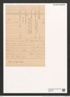 Clavicula polymorpha var. delicatula Pant. (de-Toni-Nr.: Genus 75, Species 2800) Zeichnungen Sammlung Grunow (NHMW-BOT-W0374139)